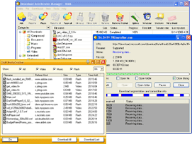 Screenshot for Download Accelerator Manager 4.5.6